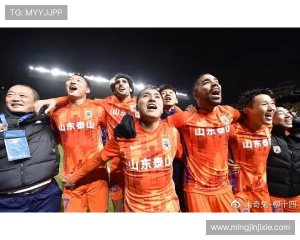 成都与北京羽毛球队赛后复盘分析团队配合与战术执行的关键因素