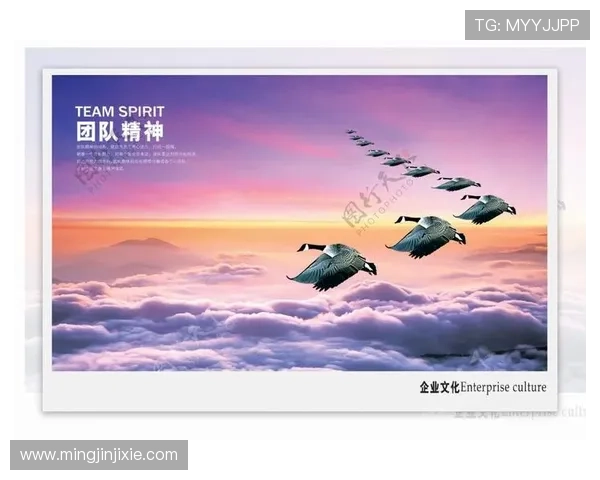 深圳排球队意识表现分析大满贯点评展现团队精神与战术配合 深圳排球队意识表现分析大满贯点评展现团队精神与战术配合