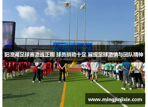 阳澄湖足球赛激战正酣 球员拼劲十足 展现足球激情与团队精神
