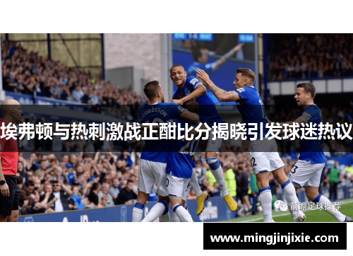 埃弗顿与热刺激战正酣比分揭晓引发球迷热议