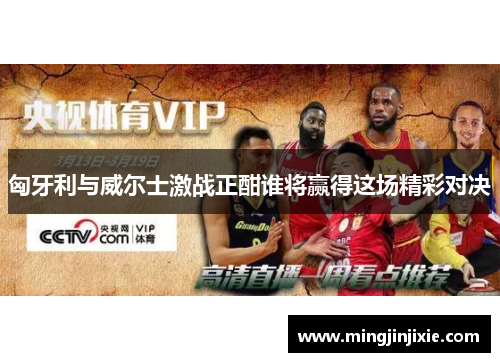 匈牙利与威尔士激战正酣谁将赢得这场精彩对决