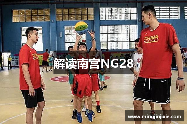 解读南宫NG28